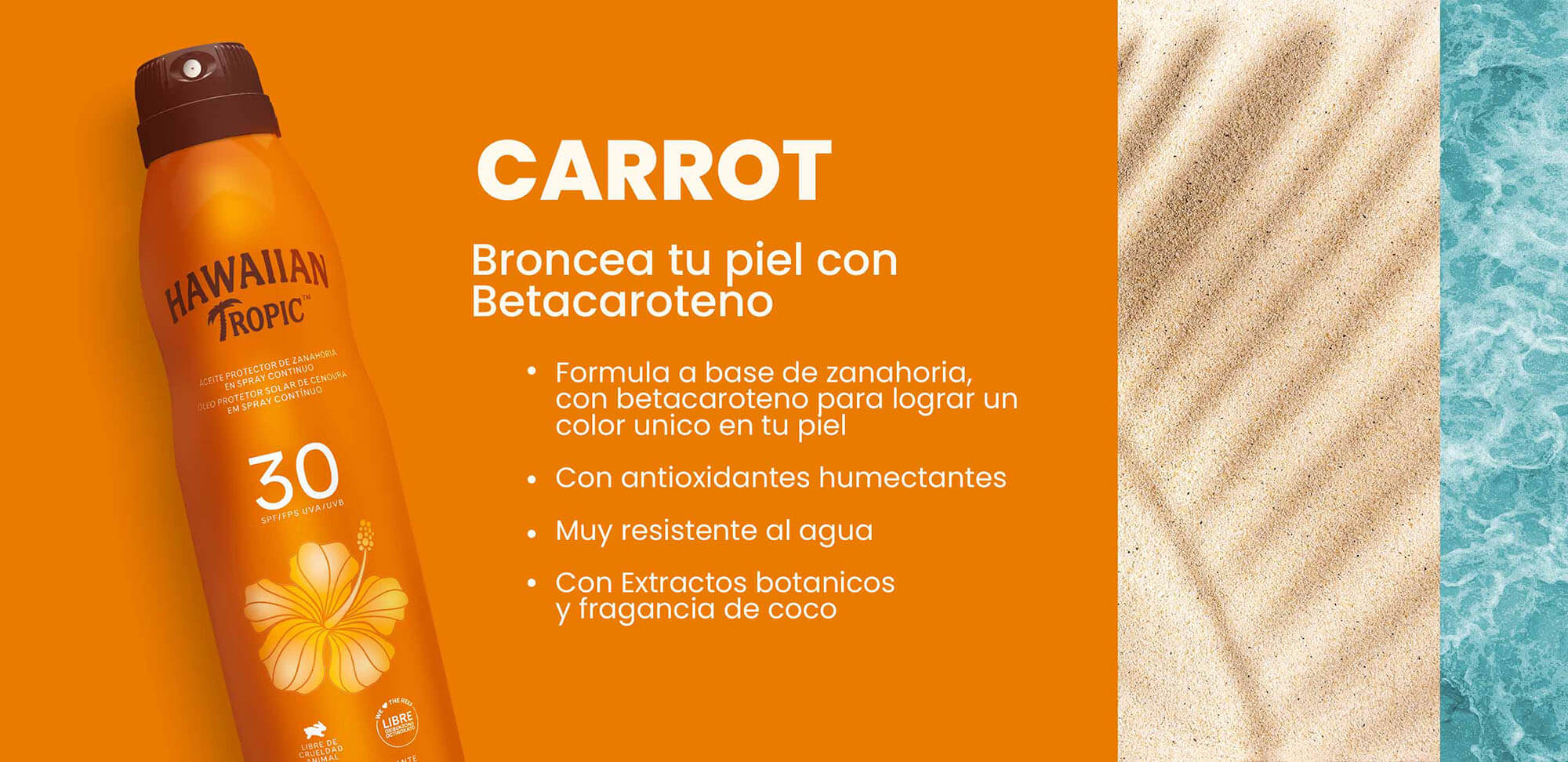 carrot